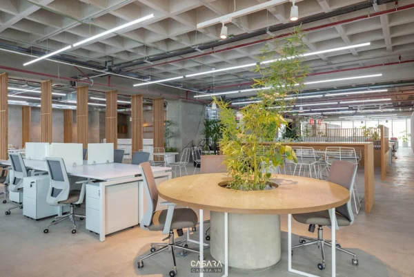 Văn phòng làm việc hiện đại, thoáng đãng với cây xanh trang trí.