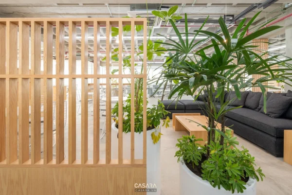 Không gian văn phòng hiện đại với vách ngăn gỗ và cây xanh.