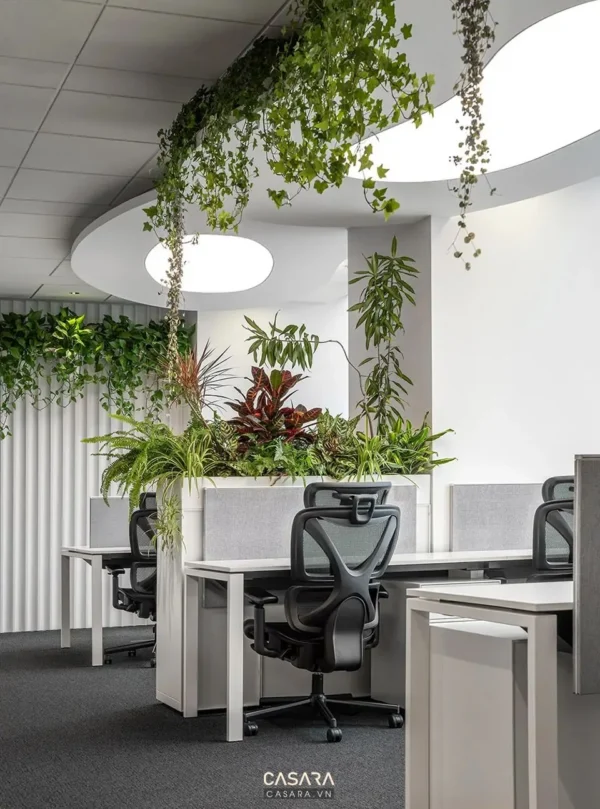 Không gian văn phòng hiện đại với cây xanh và ánh sáng dịu nhẹ.