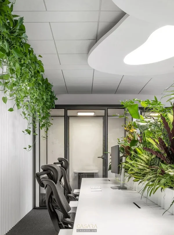 Góc làm việc sáng sủa với cây xanh, thiết kế hiện đại, tối giản.