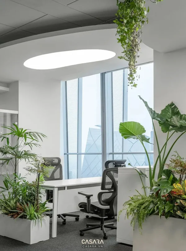 Nội thất văn phòng hiện đại với nhiều cây xanh tạo cảm giác thư giãn.