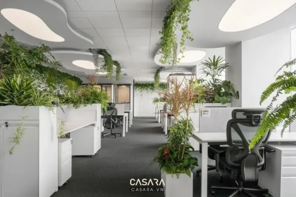 Văn phòng làm việc hiện đại, tràn ngập cây xanh và ánh sáng tự nhiên.