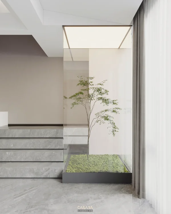 Ảnh tiểu cảnh trong nhà phong cách 60m2 sang trọng với cây xanh, sỏi, nước, giếng trời hoặc mảng xanh trang trí trong thư viện Casara.