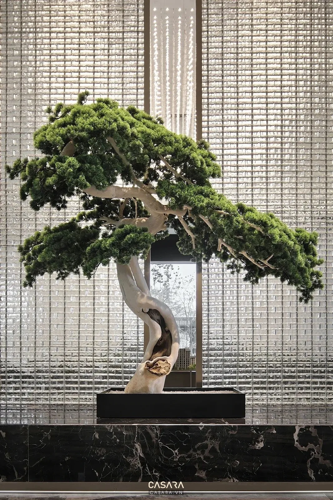 Ảnh tiểu cảnh trong nhà phong cách sang trọng đá marble với cây xanh, sỏi, nước, giếng trời hoặc mảng xanh trang trí trong thư viện Casara.