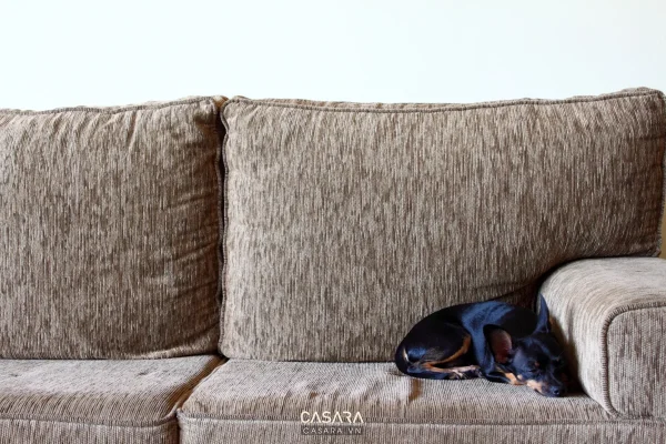 Ảnh sofa xám trong phòng khách tông nâu có đèn tường tròn do Casara tuyển chọn cho thư viện thiết kế nội thất.