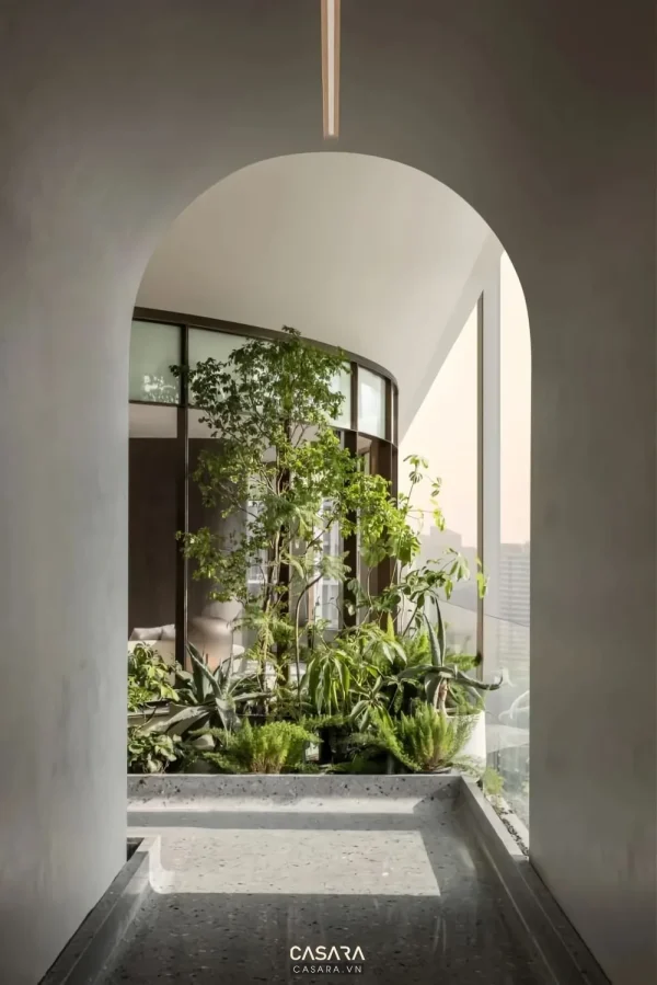 Ảnh góc cây xanh trong nhà cạnh cửa kính và trần bo cong do Casara tuyển chọn cho thư viện thiết kế nội thất.