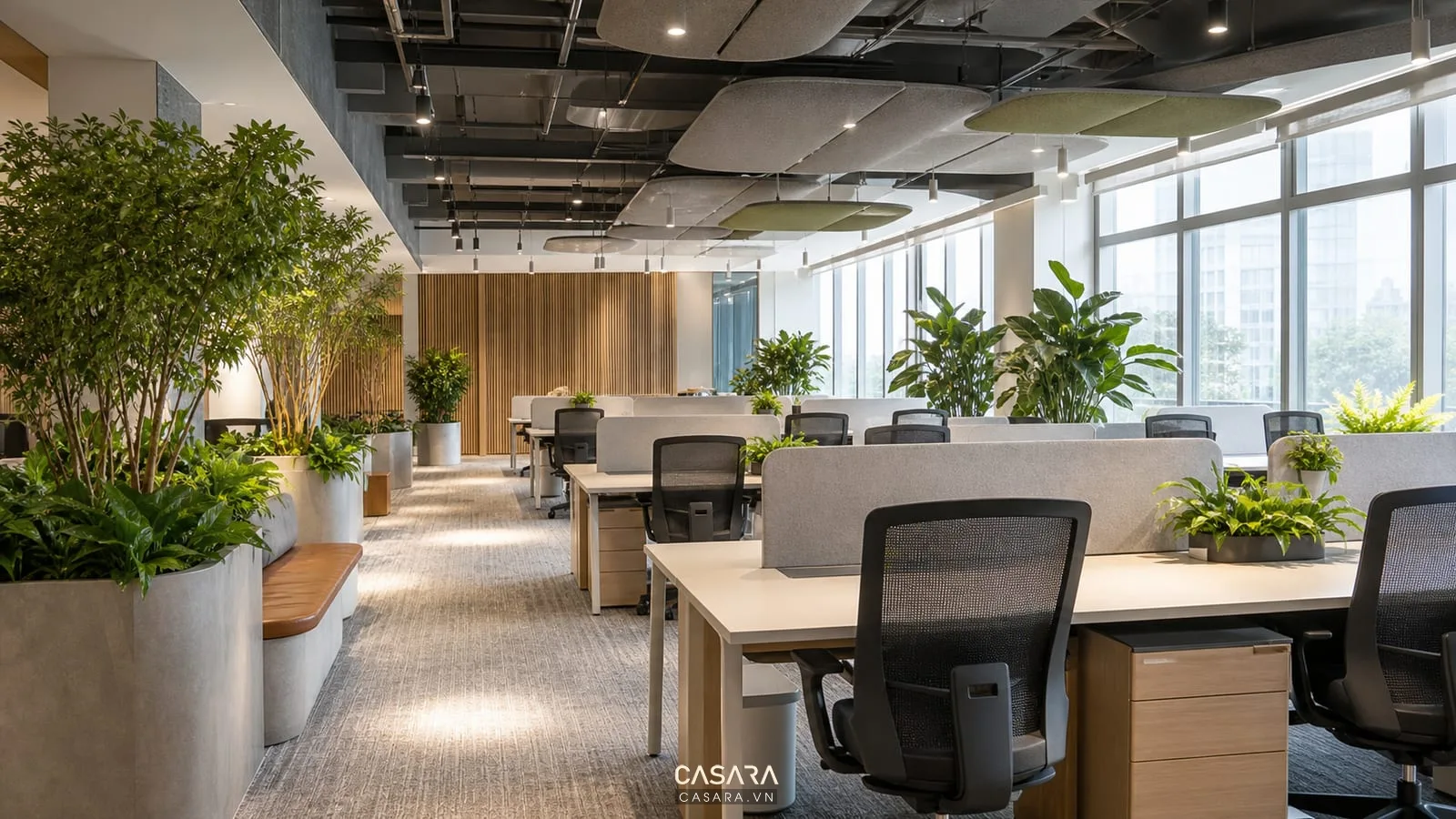 văn phòng hiện đại có cây xanh ghế công thái học thảm tiêu âm và ánh sáng tự nhiên